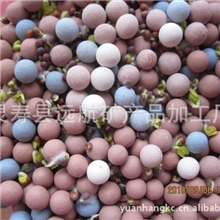 种花陶碳球栽培介质碳球栽培基质碳球
