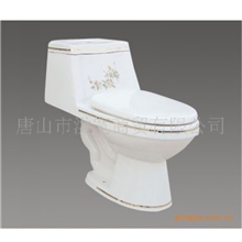 【专业品质】供应时尚新款马桶（图）