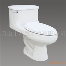 卫浴洁具，DC-8连体式座便器，700*470*650mm