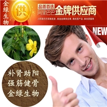 男性保健第一原料达米阿那提取物（墨西哥进口原料）厂家低价直销