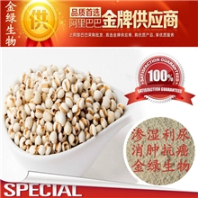 高品质薏米仁提取物（薏苡仁提取物）薏米仁纯粉厂家直供！