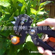 橄榄树嫁接机嫁接刀嫁接剪graftingtool