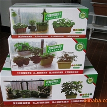 快乐农场集装箱箱式家庭农场生态小菜园阳台种植放心菜