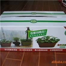 阳台种菜套装开心农场快乐农场家庭农场家庭菜园阳台菜园