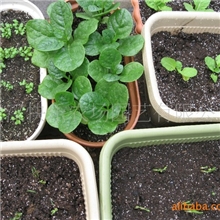 有机蔬菜栽培土快乐农场营养栽培土无虫卵无杂草无毒无味营养