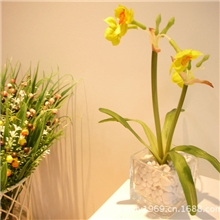 高仿真小盆景迷你水仙花家居