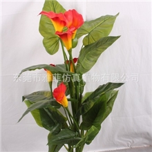 厂家热卖马蹄莲红仿真马蹄莲假马蹄莲仿真植物