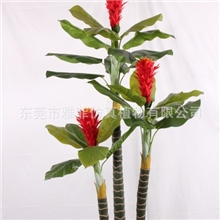 厂家推荐热销当头红高仿真当头红仿真盆景