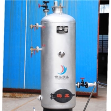 品质优良燃煤锅炉蒸汽锅炉燃煤LSG0.1-0.4-WⅡ（海龙锅炉）