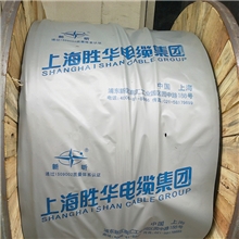 上海胜华电缆集团塑料电力电缆中国驰名品牌