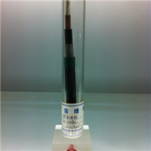 控制屏蔽铠装电缆KVVP22-450/750V-3*1.5