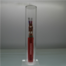 特种硅橡胶计算机电缆DJGPGP2-300/500V-5*2*1.0