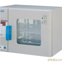 供应恒温干燥箱/恒温干燥箱/烘培箱