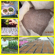 大量供应蛭石育苗蛭石大颗粒园艺用蛭石