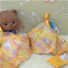 品牌澳丽芳B杯四排扣厚款超强聚拢文胸内衣文胸20189一件代发