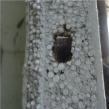 佛山合谷供应复合夹心防火板