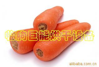 供应胡萝卜烘干设备|食品烘干机设备
