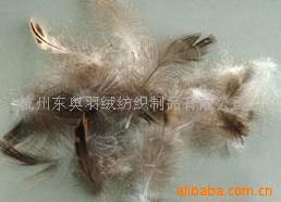 供应国标美标欧标羽绒,高品质水洗鸭绒/鹅绒、毛片