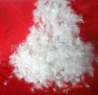 批发供应95%大朵白鸭绒吊吊绒葡萄绒人工挑拣羽绒