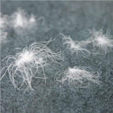 尚爱羽绒老国标羽绒90%水洗白鸭绒高蓬松度水洗鸭绒90羽绒