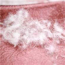 尚爱羽绒新国标95%白鸭绒大朵绒高蓬松度白羽绒羽绒服填充物