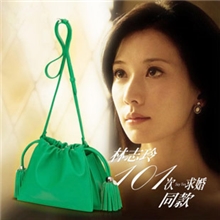 101次求婚林志玲同款首发！香港代购斜挎包包2013春夏季新款女包