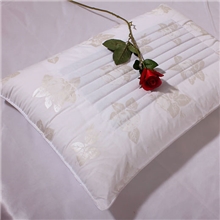 清婉家纺床上用品保健枕头/枕芯决明子明目枕限时促销