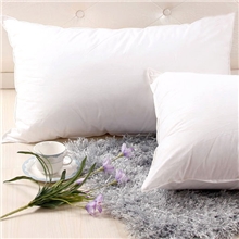 全棉高级羽丝绒枕头单人枕芯/特价枕/睡眠枕/舒适枕适合中低枕头