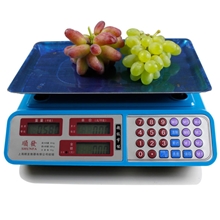 电子称家用防低温电子称防冻永康电子称低压显示电子称