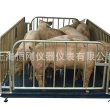 浙江畜牧电子秤