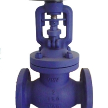 德标波纹管截止阀双波纹管阀门手动波纹管阀WJ41H