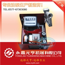 厂家供应电动油泵220V直流油泵12V24V总成12V油泵总成