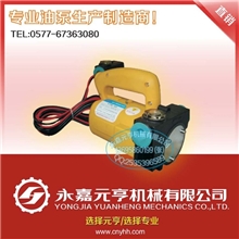 供应12V油泵12V油桶泵直流油泵直流电动油泵直流泵12V电动泵