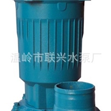 【专业供应】优质皇波QDX30-10-1.1小型潜水电泵
