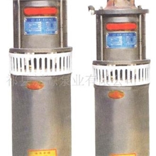 批发供应QSF潜水泵，小型供水家用泵