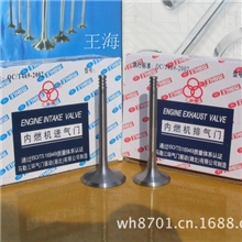 上海大众2000化油器式1.6L发动机杆径7mm进排气门装机配套