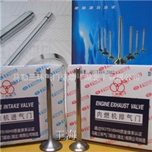 上海大众POLO波罗1.4L系列发动机16V进排气门马勒三环装机配套