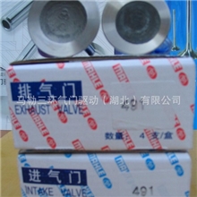 保定长城GW491QE系列汽油机进排气门马勒三环装机配套进排气门