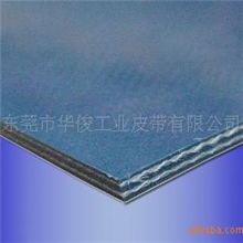 冷藏发送中心用输送带(最低温度可达零下30℃)高温输送带输送带