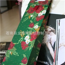 专业供应高档手提袋各类红酒袋礼品袋包装袋设计印刷一条龙