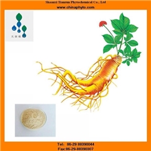 人参提取物热销-人参总皂甙-30%,80%UV-提高免疫力-专业生产商