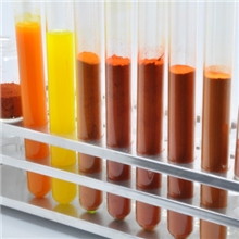 Lutein-保护视力-叶黄素5%-90%-着色剂-万寿菊提取物-专业生产商