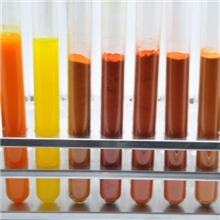 热销-玉米黄质5-10%HPLC-Marigoldextract-保护视力-COA
