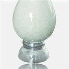 供应精品琥珀酸