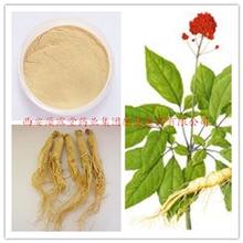 现货供应人参提取物质量优价格好欢迎咨询