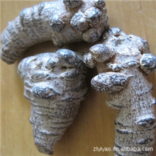 三七提取物提取物植物提取物三七提取物提取物三七根提取物