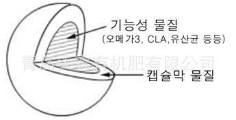 生物乳酸菌---专利技术，双重包裹乳酸菌