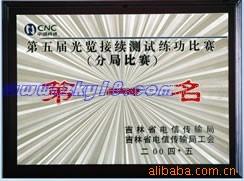 济南蓝光标牌机厂标牌腐蚀机、蚀刻标牌机、标牌机致富首选