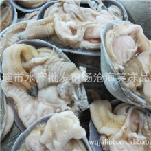 批发供应冷冻粗加工水产品半壳大蛤/半壳天鹅蛋