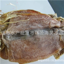 供应粗加工干制水产品鱿鱼干
